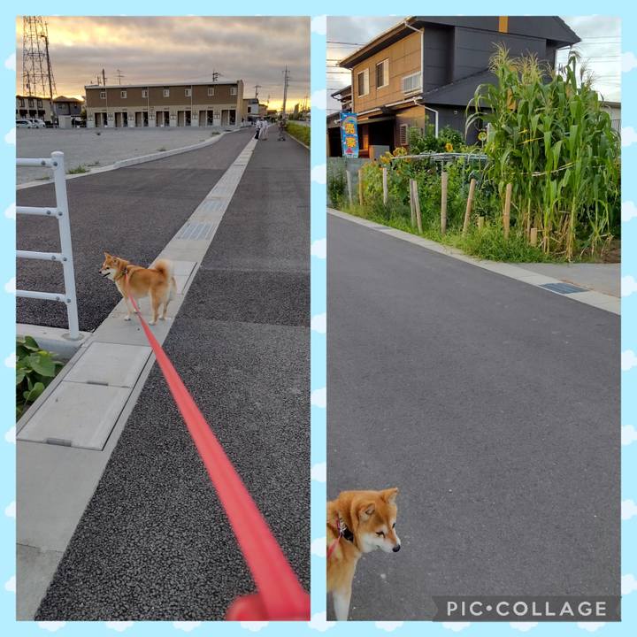 F659f4d6 c55e 4e46 ba81 d6bb0530784a 1753663879706