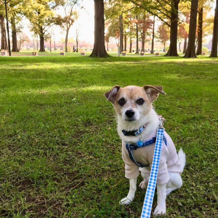 F659f999 231d 4585 8c1a baeb69d4e40b 1636862724753