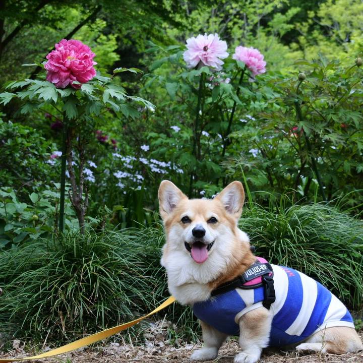 F65a1085 2df6 4274 ab30 70a08b2bb7ef 1714229413323