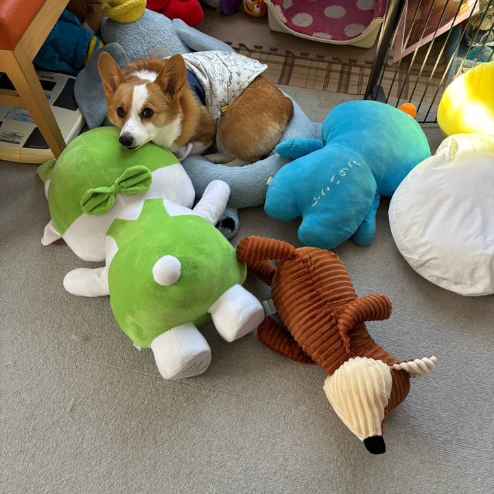 F65a4f59 810f 4028 9cd3 aab6733409fd 1766971167950