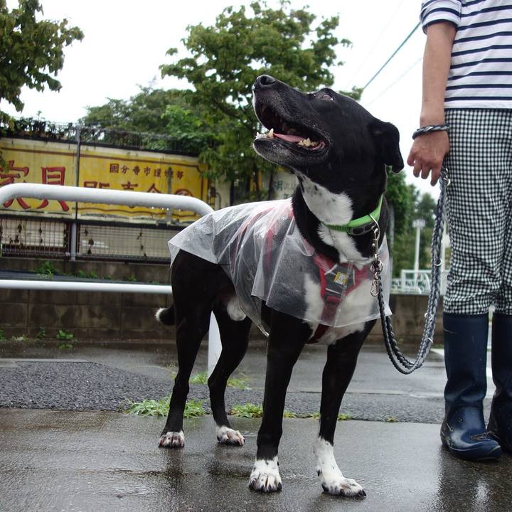 F65add65 856d 4f96 8fda 4e62b077c4fc 1628984363346