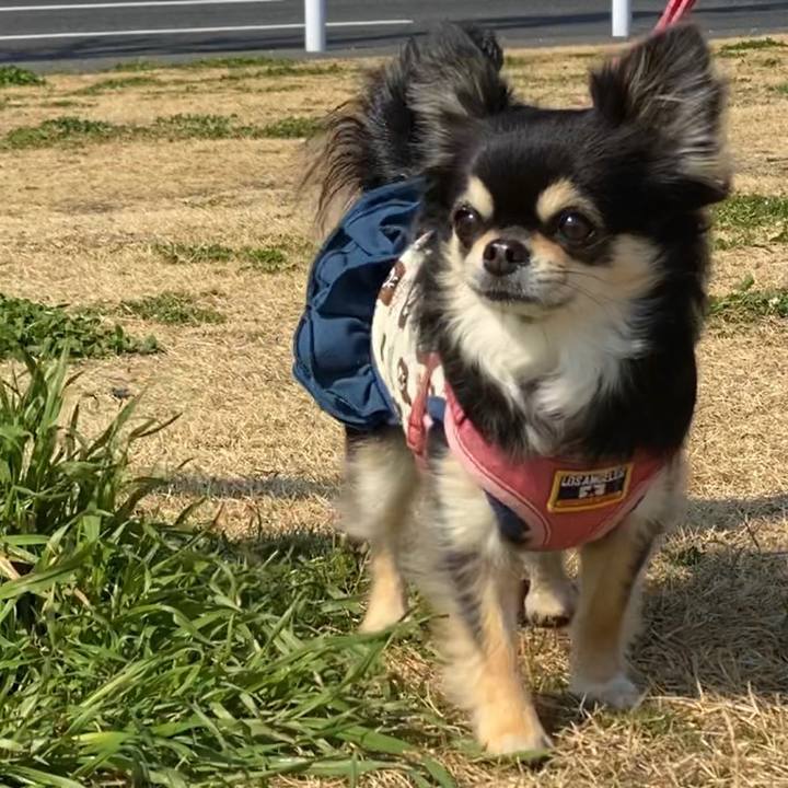 F65b1c65 9b5c 416c 92cd 0436569e1d88 1613804143598