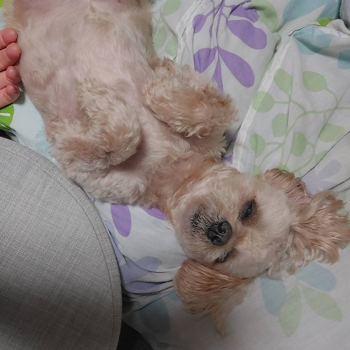 F65b441a 9b69 4527 b605 5f941efbafe3 1721539987019