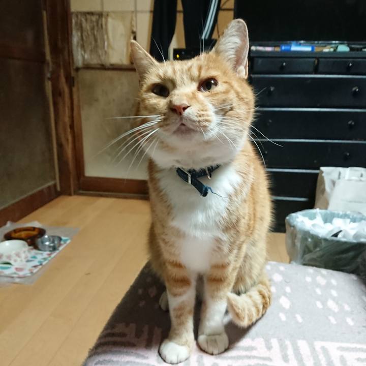 F65b4aad 2098 4c51 8872 add5780774a1 1603050481517