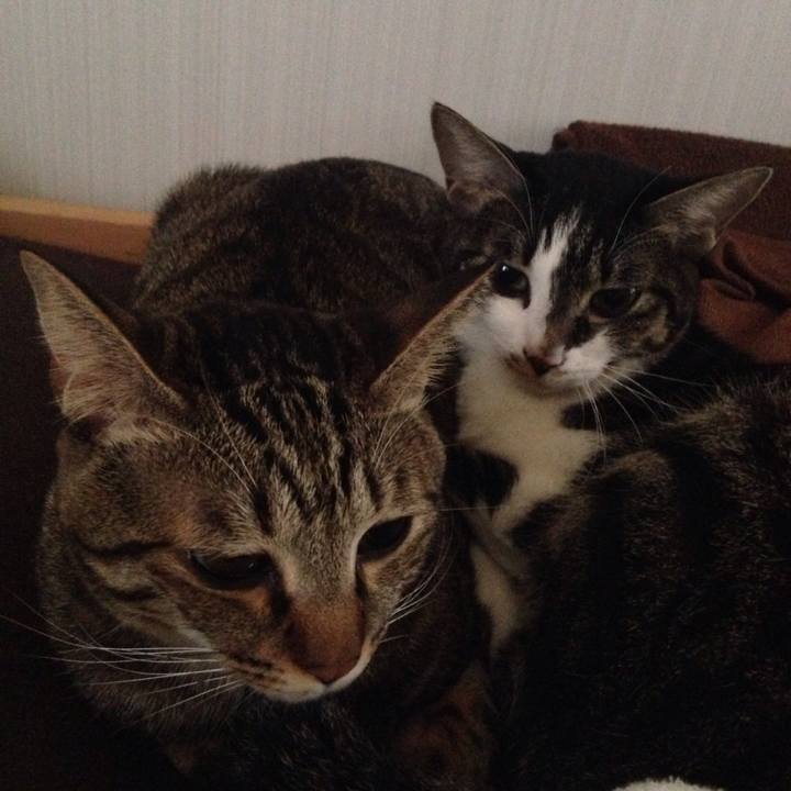 F65b7956 38bb 4303 a731 37c3f24c5c5f 1509246579775