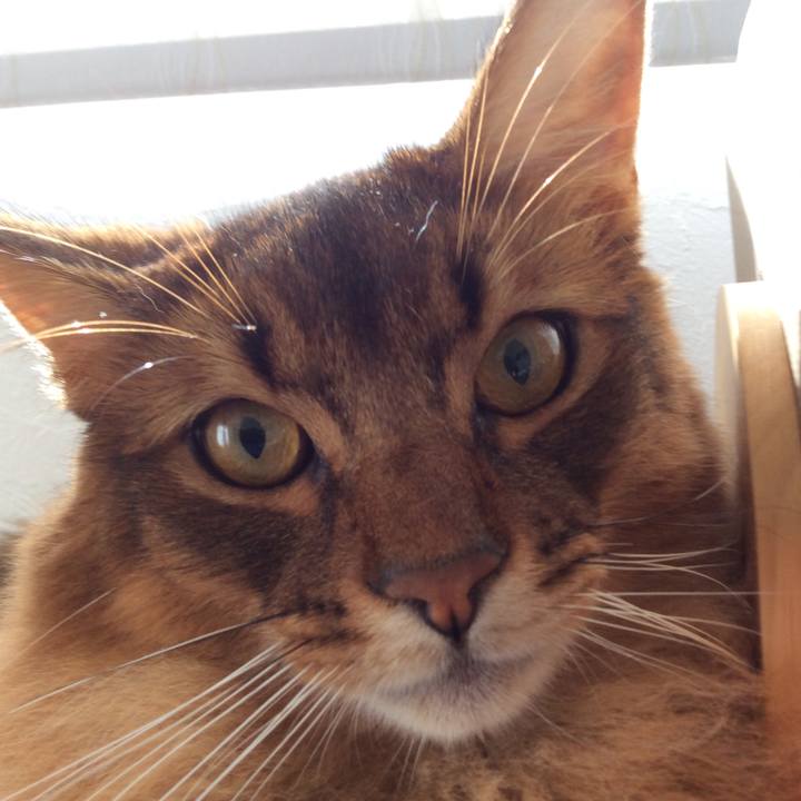 F65b7bdc cc24 4f5a b0b9 ba21314fef2d 1602807962476