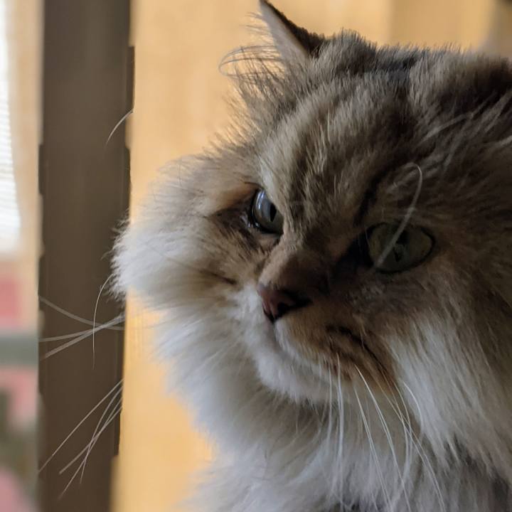 F65ba18f 25b1 40ee 8e3a 1a6242372e48 1637574706828