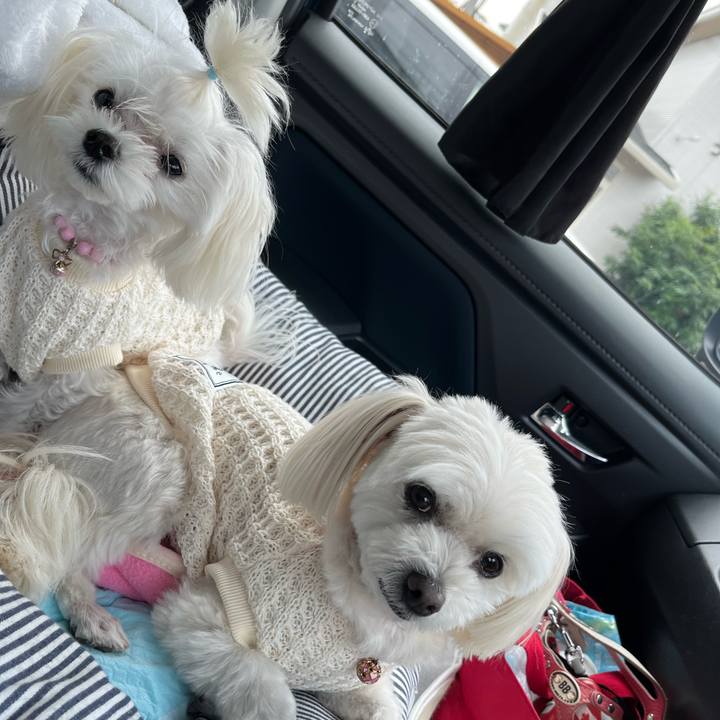 F65bbc62 ee70 4419 a672 dcb0c430bedd 1731561070529