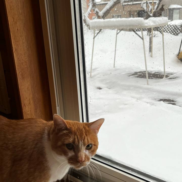 F65bc269 49e3 4b37 8f44 6a1b6c5ed7b6 1710710267577