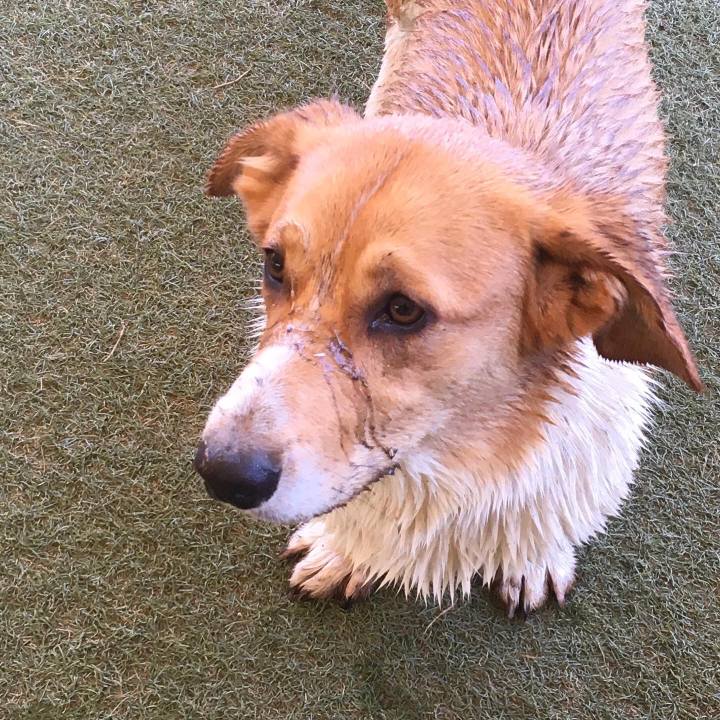 F65bc2e5 2fe7 4242 8d01 1d15617ecc8b 1614821515964