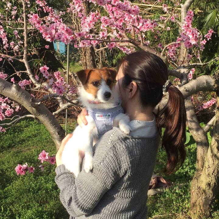 F65bd576 4b73 4bfc a875 6f9ab624ee41 1512123862101