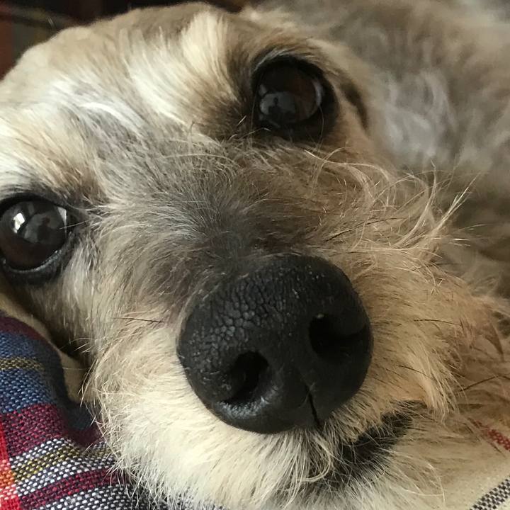 F65bfa4c a345 48fe af99 526c9233bf3f 1523654391809