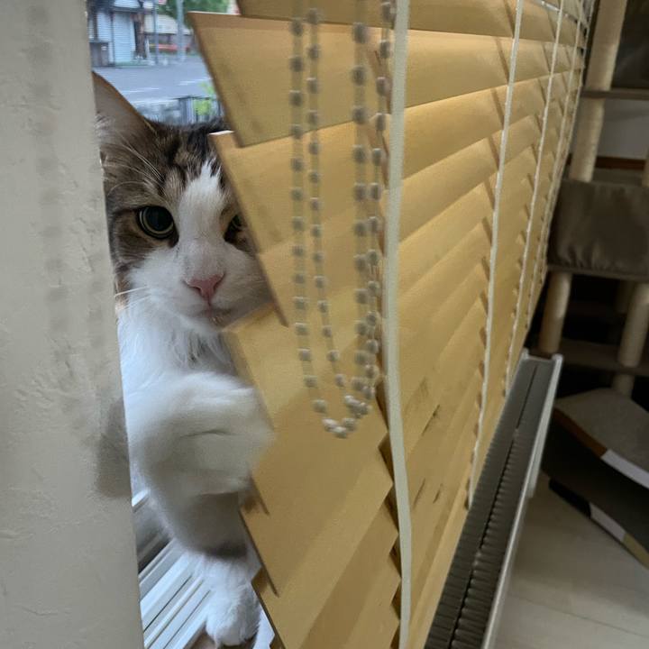 F65c3f29 67c8 4876 9829 221fc41ace92 1683489009693