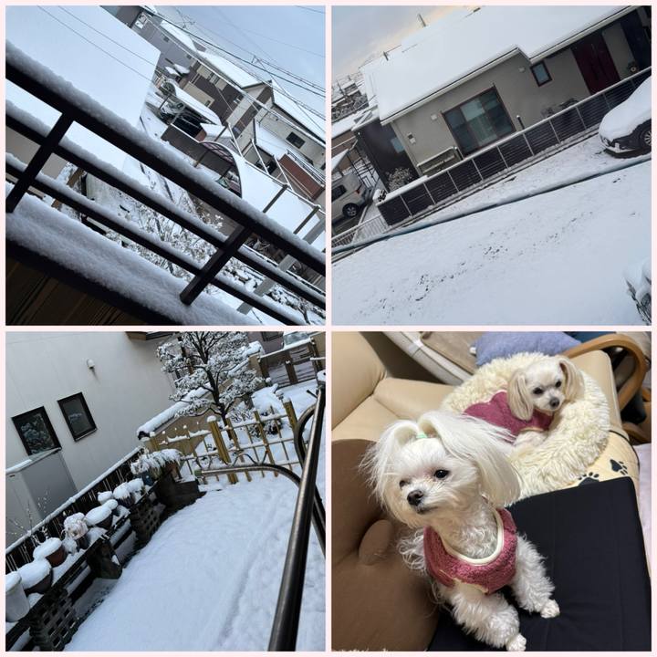 F65cbcbb 104a 4c21 87d1 7d72b5fe1556 1770624984837