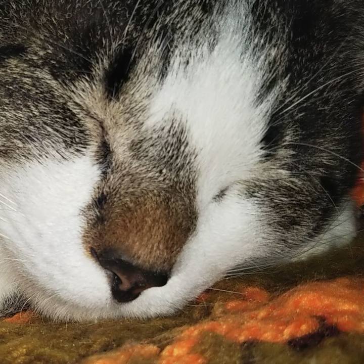 F65cbf00 9b56 41fd a62c 2d040f0eb5d1 1603431100262