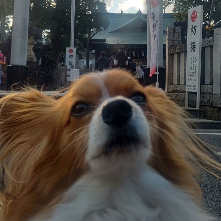 F65cca9d 4782 46f5 ab56 30642d7d07b1 1767336974759