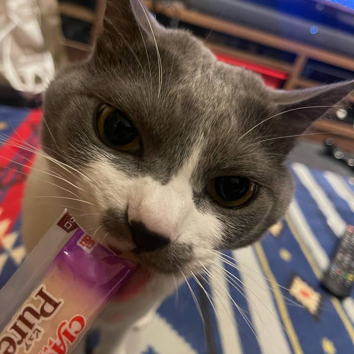 F65ced5d 22ed 4e56 80ae 268cc1d186da 1668519060750