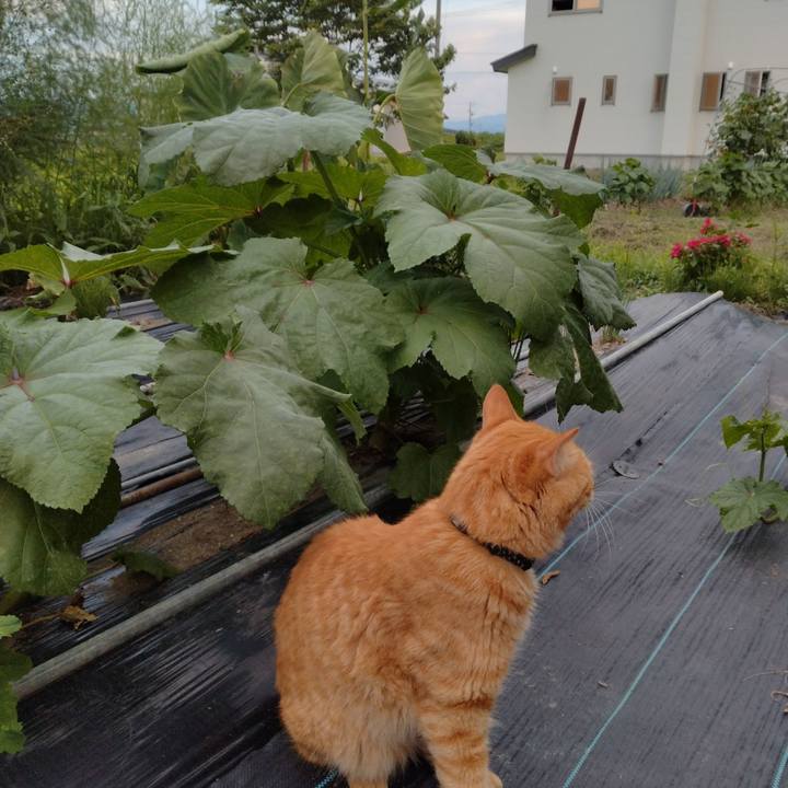 F65d1fca 054a 486a ba84 a91ca7587b37 1690972310763