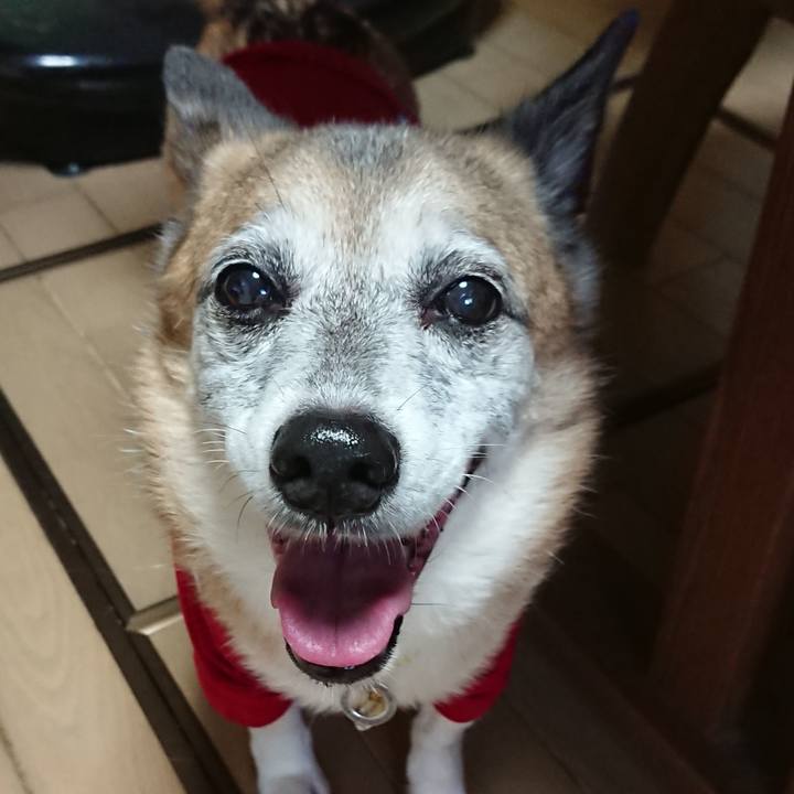 F65d2316 b4ba 4505 9517 e303bdc26153 1596285426940