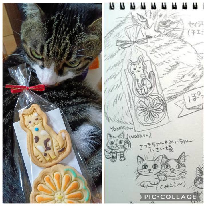 F65d43be 6c70 4018 b2ab 2aed64cacd51 1764416975149