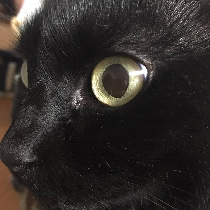 F65d57e4 092b 4890 9ed9 dbc81500d258 1510623071992