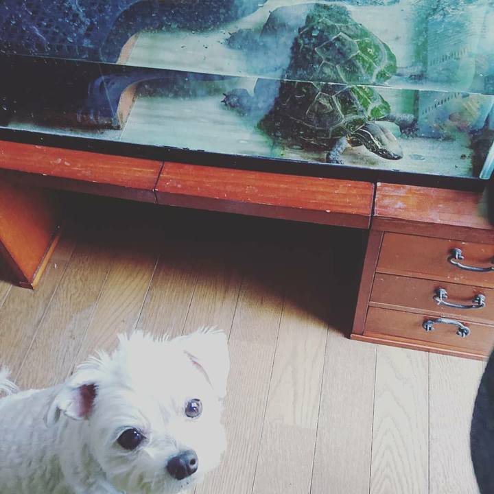 F65dad2d 39a1 4b04 9b4a 956cc8df7bb7 1552111235567