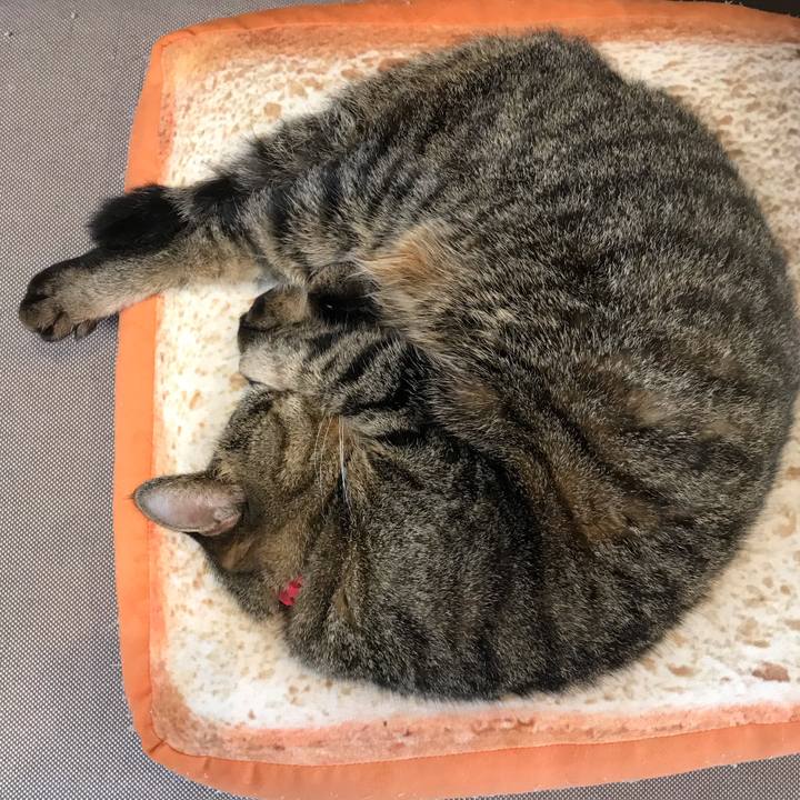 F65db745 c98e 4164 8c18 17c19f16dc9a 1614857420691