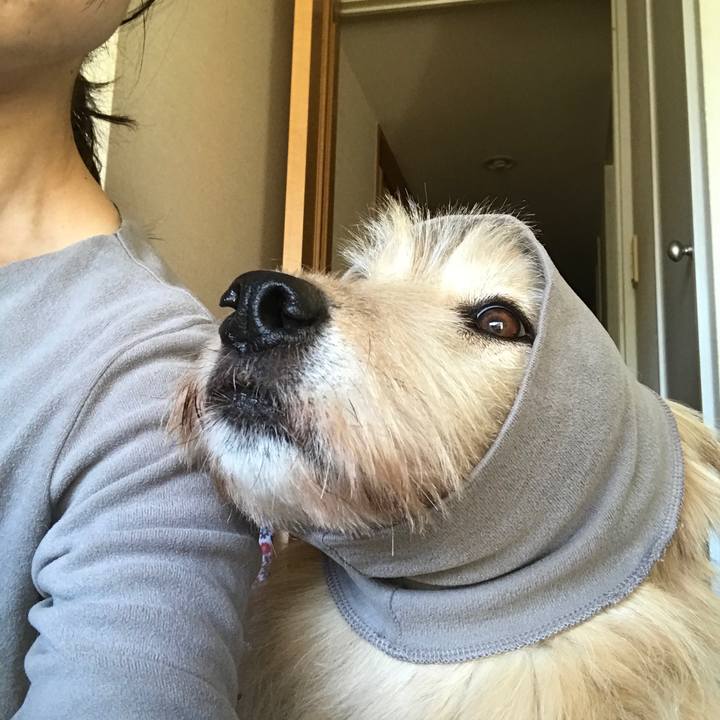 F65dc52b bba3 4075 b29c d0bd72899f29 1546144452467