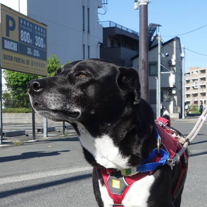 F65de6da 9f06 4a9d 8fba 98f736ab79ea 1682989317870