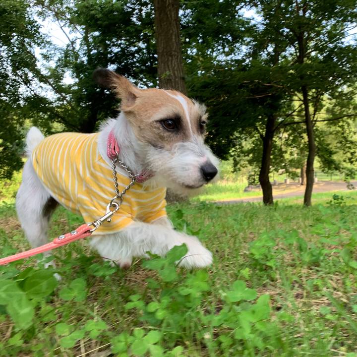 F65e30c3 0cd2 4016 844d 62d2f6d2a01c 1591695428920