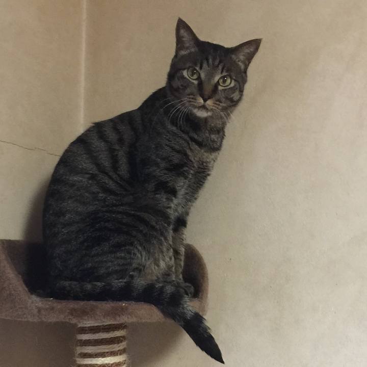 F65e5fd6 9e13 4c6d b671 24eec754c43f 1547517583518