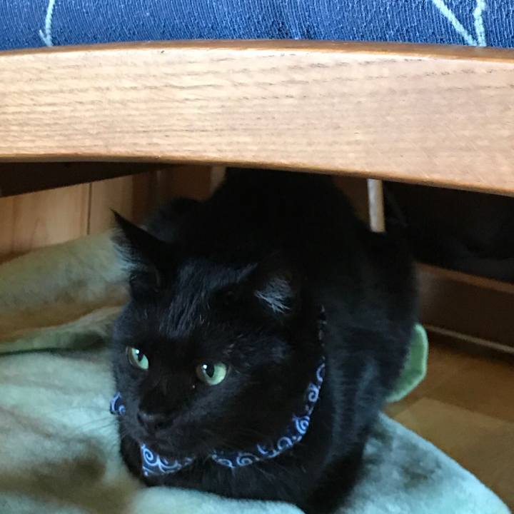 F65e7b50 d114 4901 9cbe 981fe425b931 1561247088749