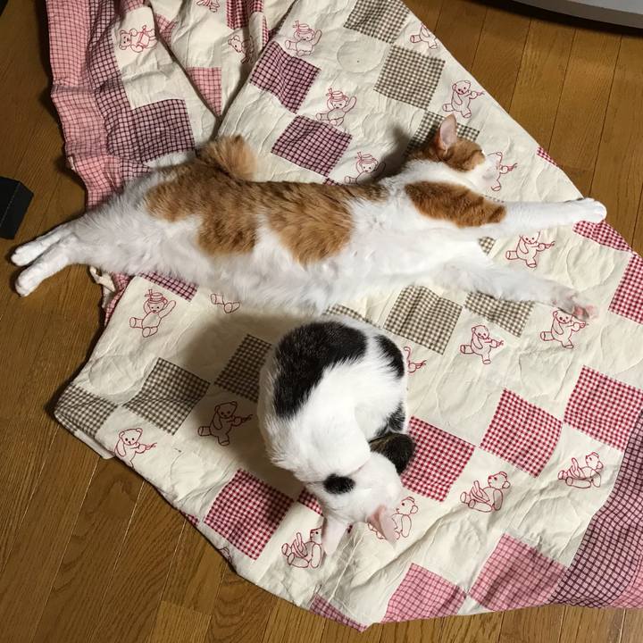 F65e8269 cbc4 4332 875c fb436d3aa752 1571927399130