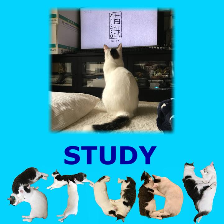 F65ed033 5b01 4be9 a64b 0d0717f25188 1669505316866