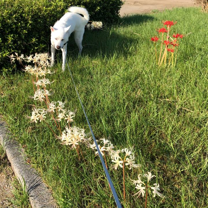 F65ed313 0d85 49df bce7 18f741f46fb6 1600730169113