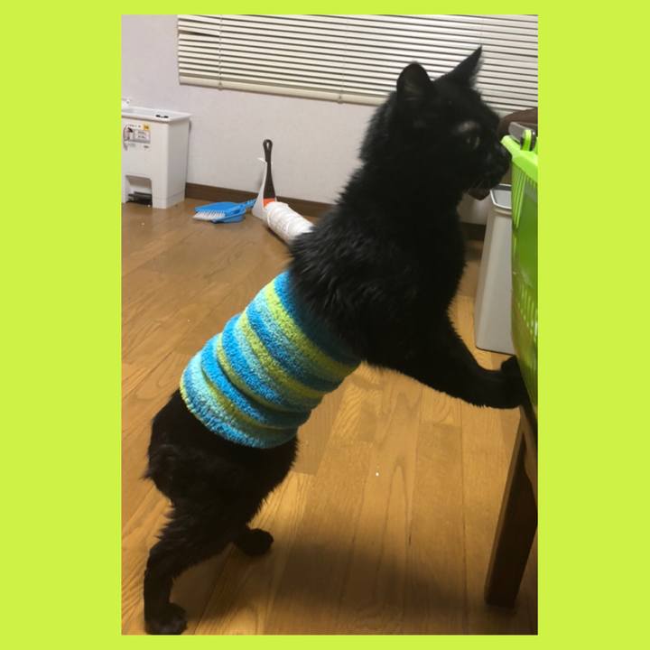 F65ed61b 4350 4c07 9d74 615ca14f2a6d 1582537274349