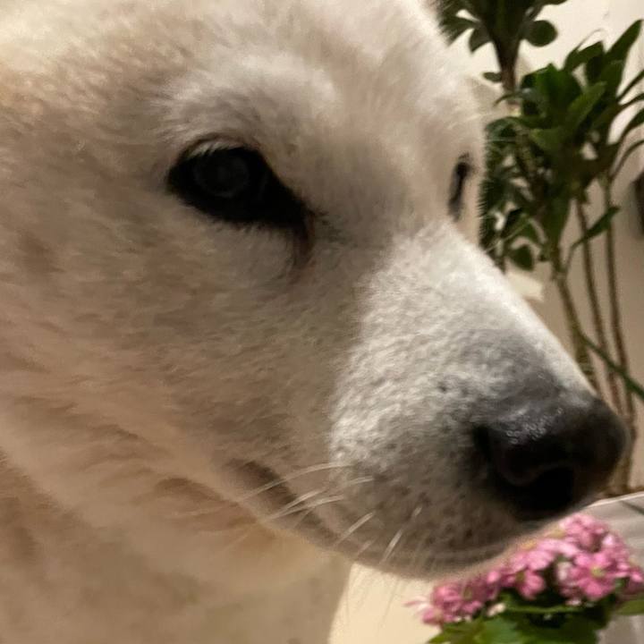 F65ee6eb 2f9b 4718 b67e a9478006fe57 1675158042663