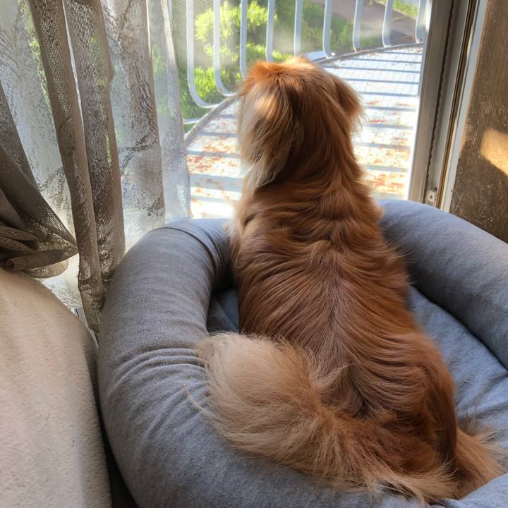 F65ef2a4 6f26 4f0a 916d 4606a3f79d2b 1527112964682