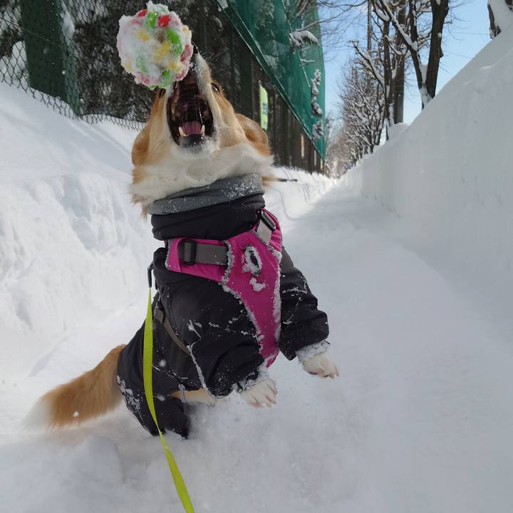 F65ef44c 1b02 4d28 87ee 2faefbb6e858 1769400669284