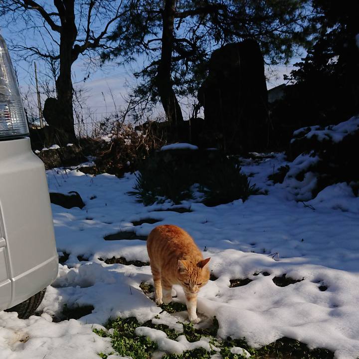 F65f2ad2 e3f9 4d22 a3ee 6bb4a22491cb 1585465699149