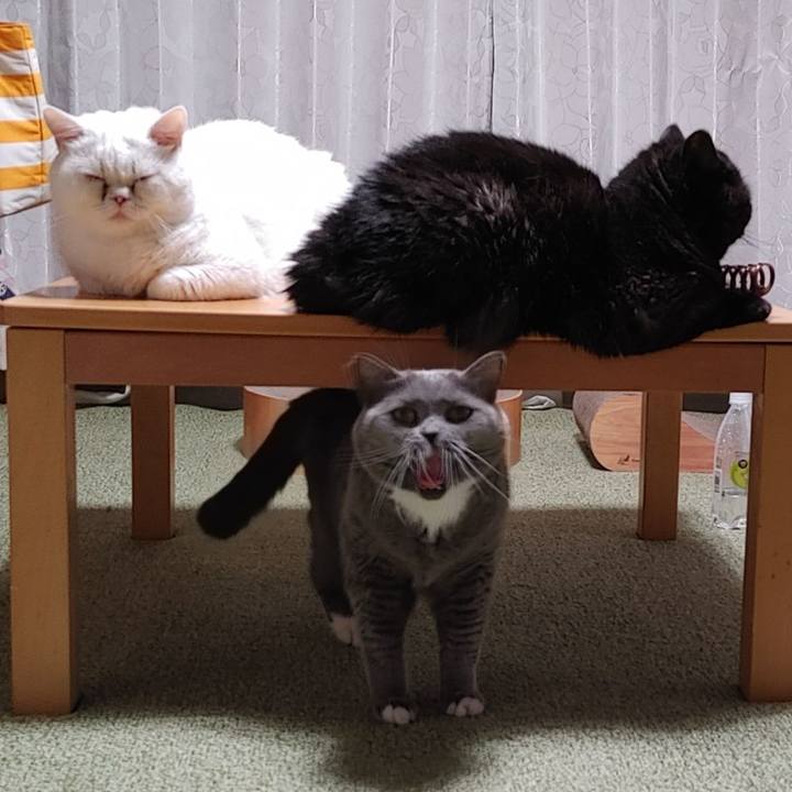 F65f416b fdb5 4efd a87a c2bbf69ea029 1633607262461