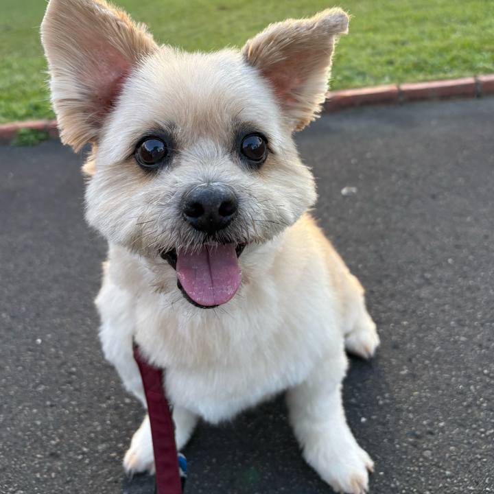 F65f61ed ba29 470c bf00 d3bc98a7ee29 1759482924255