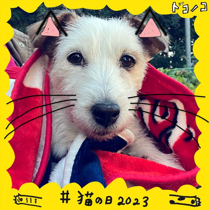 F65f9219 8c24 425a b50a 5024cb6edd2b 1677110258157