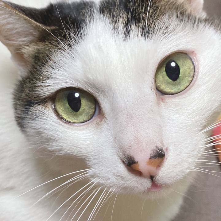 F65f944d 49c2 41c7 8463 96108629d21d 1616216031104