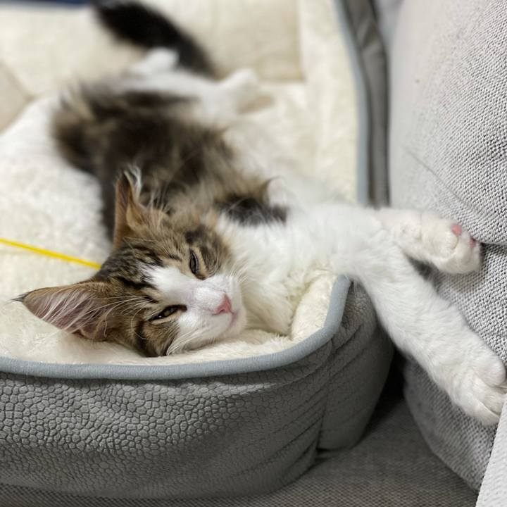 F65fc559 930d 43d2 a1e7 748b2ce8cf53 1633773771894