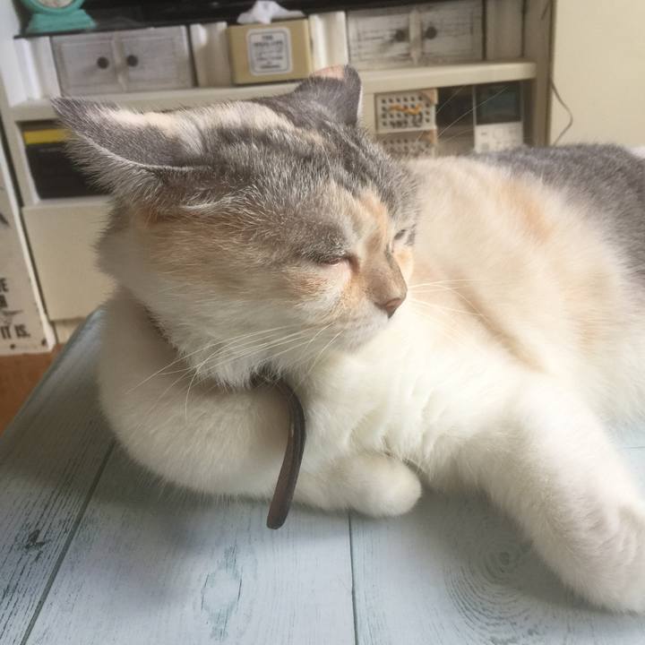 F65fcfc0 ca31 4fab a51f 3b438897162b 1567896801318