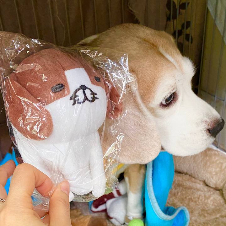 F65fe785 4d7c 4469 a820 c9627c26e607 1579924699263