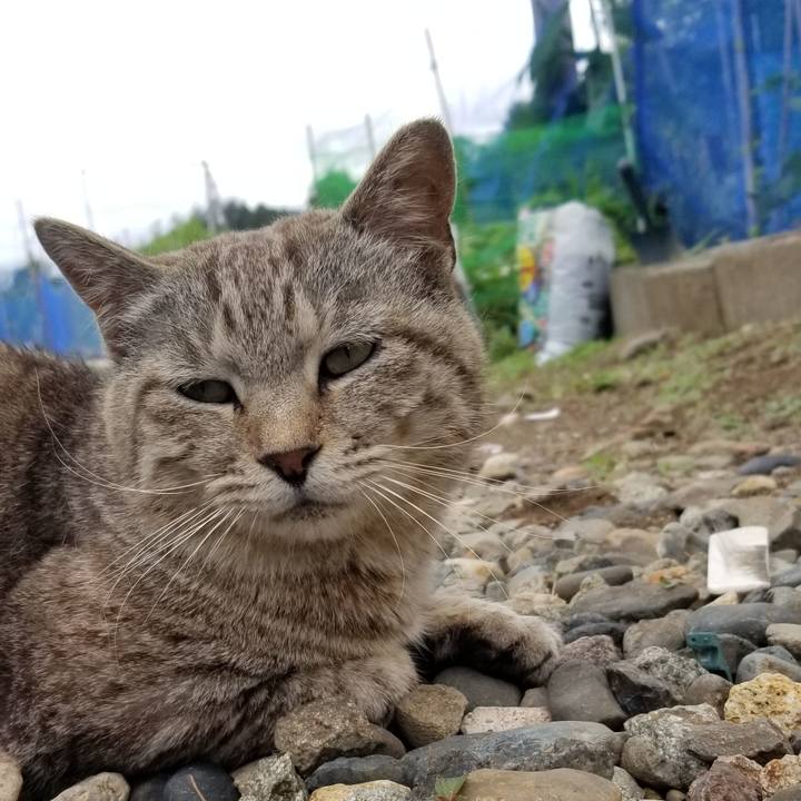 F65ff35d 182f 4c3c b0cb acd0ebd7fcea 1687358505444