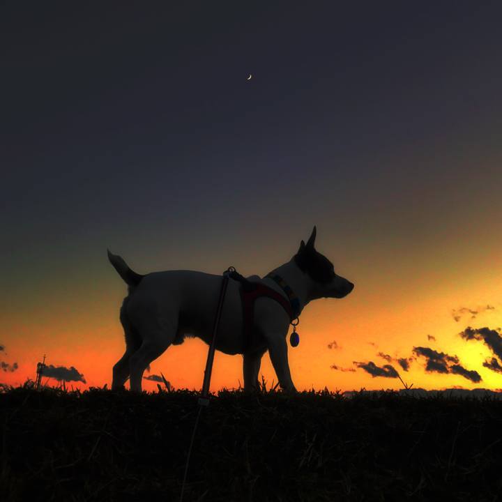 F66002e1 88e3 4da3 9ca7 85f9fde6988d 1511428704579