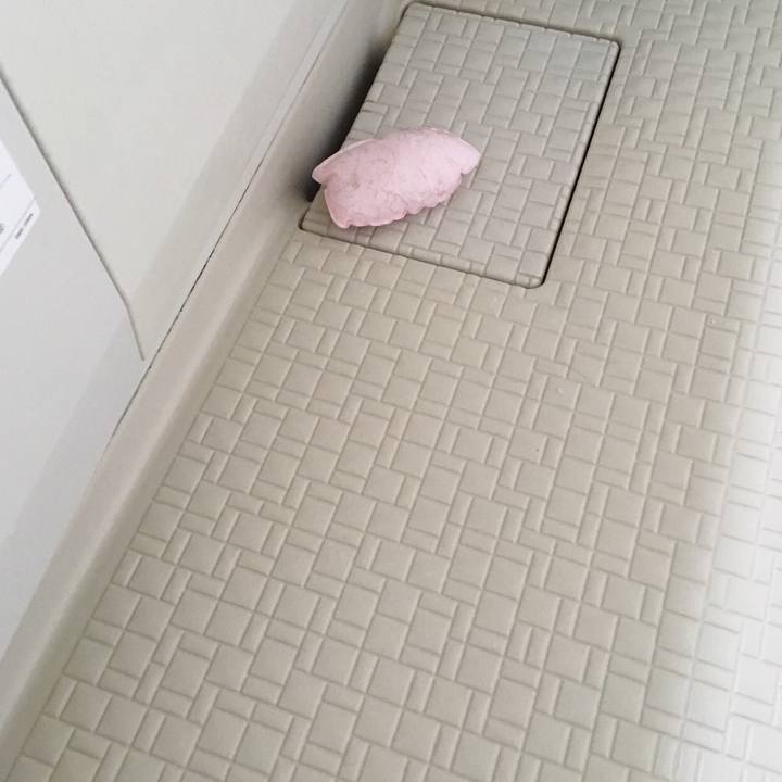 F6600701 76f3 4a9f ad03 9a5f5e449697 1529298748228